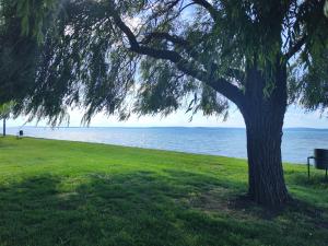 IMG_20260520_170314_1